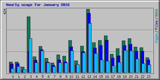 Hourly usage for January 2016